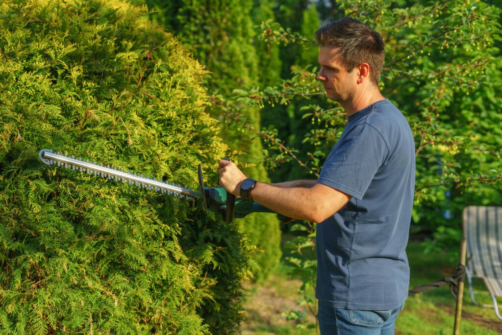 Man trimming hedge with electric trimmer in a sunny garden.