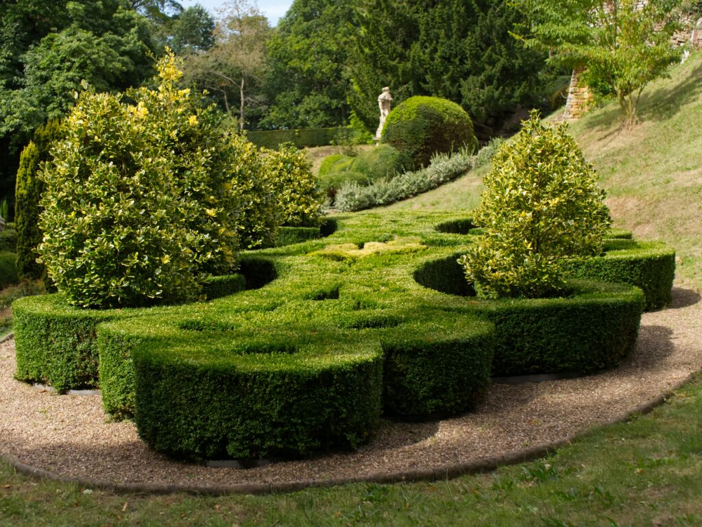A beautifully designed topiary garden with lush greenery and artistic shrub formations.