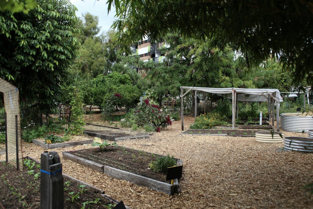 A thriving urban community garden with diverse plant life and wooden pathways under natural light.